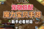 魔力宝贝私服如何获取高级宠物